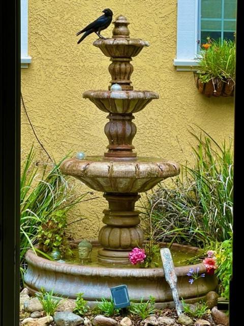 Glen Ellen Inn Secret Cottages エクステリア 写真