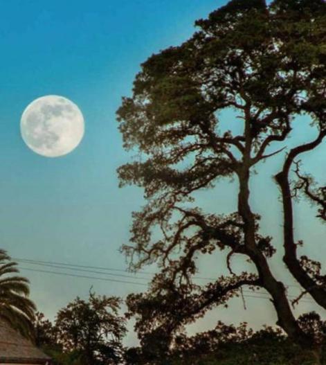 Glen Ellen Inn Secret Cottages エクステリア 写真